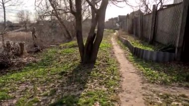 Bir adam yol boyunca yürür. Yüksek kalitede görüntüler. Dar yol. 5.3 km video. Ukrayna manzarası. Ukrayna.