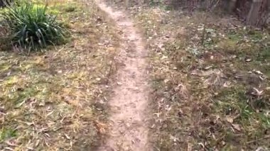 Bir adam yol boyunca yürür. Yüksek kalitede görüntüler. Dar yol. 5.3 km video. Ukrayna manzarası. Ukrayna.