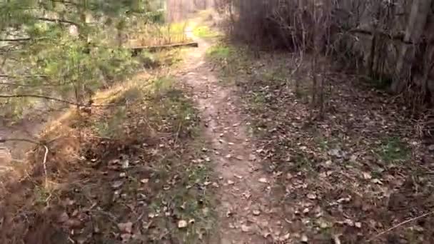 Bir Adam Yol Boyunca Yürür Yüksek Kalitede Görüntüler Dar Yol — Stok video