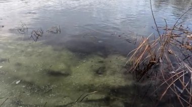 Donmuş su. Nehirdeki temiz buz. Nehir dibi ve buz. Buz ve karı eritir. İlkbahar buzu.