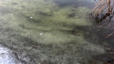 Donmuş su. Nehirdeki temiz buz. Nehir dibi ve buz. Buz ve karı eritir. İlkbahar buzu.