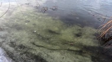 Donmuş su. Nehirdeki temiz buz. Nehir dibi ve buz. Buz ve karı eritir. İlkbahar buzu.