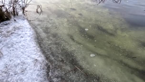 Donmuş Nehirdeki Temiz Buz Nehir Dibi Buz Buz Karı Eritir — Stok video
