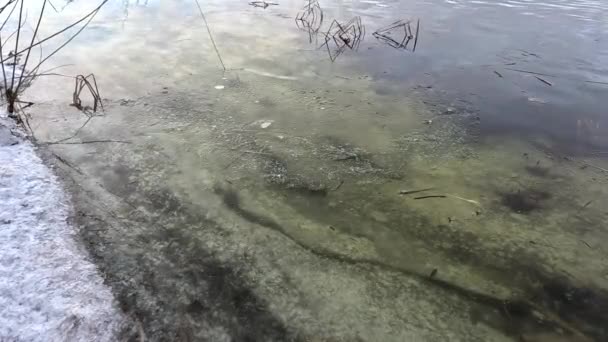 Donmuş Nehirdeki Temiz Buz Nehir Dibi Buz Buz Karı Eritir — Stok video