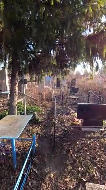 Ukrina January 2023 Old Cemetery Abandoned Graves Broken Headstones Fresh — Stock Video