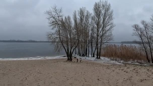 Cloudy Natural Landscape Winter Landscape River Empty Beach Winter Sand — Vídeo de stock