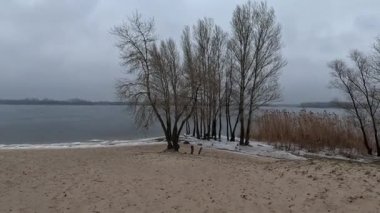 cloudy natural landscape. winter landscape with a river. empty beach in winter. sand and frozen river.