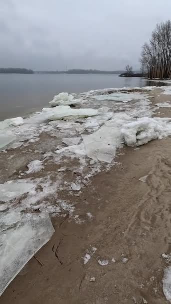 Blocks Ice Shore Big Ice Floes Sand Melting Ice Spring — Stockvideo