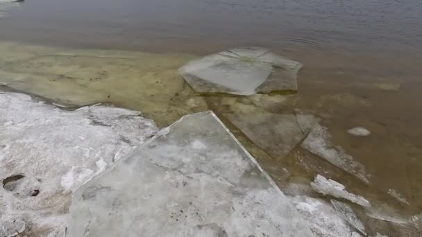 Blocks Ice Shore Big Ice Floes Sand Melting Ice Spring — Stock Video