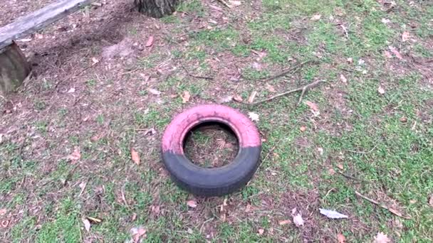 古いタイヤだ 車輪は地面に掘られています 塗装されたタイヤ 公園でゴムタイヤと古いレトロな子供の遊び場 レーストラックの古いタイヤの壁 廃棄物タイヤの山 — ストック動画