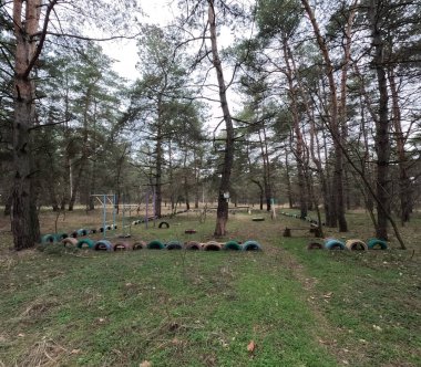 abandoned playground. Children's playground in the forest. Old Retro Kid's Playground With Rubber Tires In The Park. Surreal playground,abandoned swings in rural countryside. Ukraine.