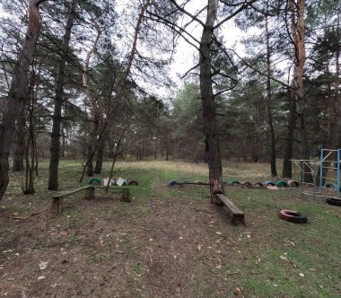 abandoned playground. Children's playground in the forest. Old Retro Kid's Playground With Rubber Tires In The Park. Surreal playground,abandoned swings in rural countryside. Ukraine.
