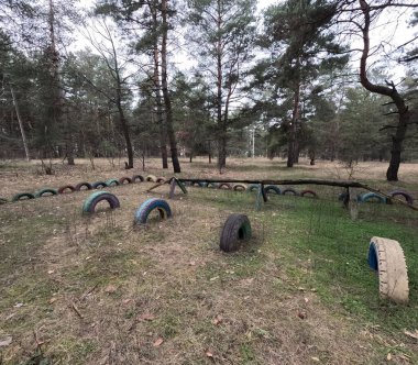abandoned playground. Children's playground in the forest. Old Retro Kid's Playground With Rubber Tires In The Park. Surreal playground,abandoned swings in rural countryside. Ukraine.