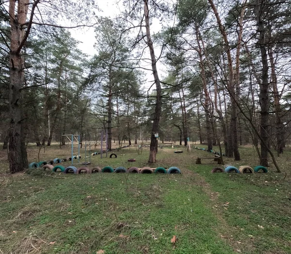 abandoned playground. Children's playground in the forest. Old Retro Kid's Playground With Rubber Tires In The Park. Surreal playground,abandoned swings in rural countryside. Ukraine.