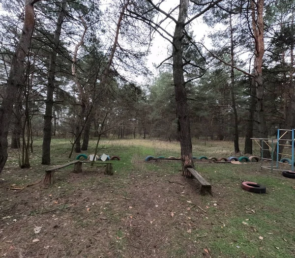 abandoned playground. Children's playground in the forest. Old Retro Kid's Playground With Rubber Tires In The Park. Surreal playground,abandoned swings in rural countryside. Ukraine.
