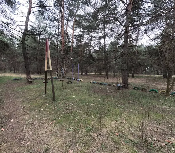 abandoned playground. Children's playground in the forest. Old Retro Kid's Playground With Rubber Tires In The Park. Surreal playground,abandoned swings in rural countryside. Ukraine.