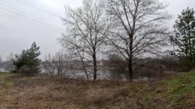 cloudy landscape on the banks of the river. high cliff above the water. Wind shakes dry reeds and makes ripples on a river with a reflection of a clouds. natural landscape with water. Dnepr River. Ukraine.