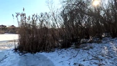 winter sunny landscape on the river bank. Beautiful scenic landscape view of a calm river flowing on a bright sunny clear blue sky. Dnieper river in winter. Ukrainian winter landscape. River bank and ice.