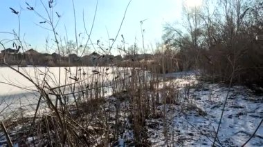 winter sunny landscape on the river bank. Beautiful scenic landscape view of a calm river flowing on a bright sunny clear blue sky. Dnieper river in winter. Ukrainian winter landscape. River bank and ice.