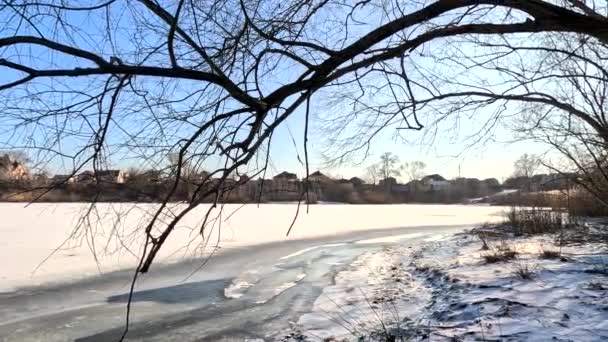 Winter Sunny Landscape River Bank Beautiful Scenic Landscape View Calm — ストック動画