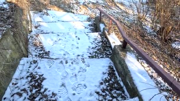 Concrete Stairs Winter Snow Stairs Stairs White Snow Steps Snow — ストック動画