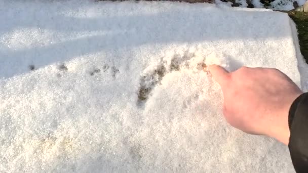 Drawing Snow Man Draw Snow Child Drawing Heart Shape Snow — Stock video