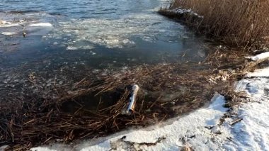 melting ice on the river. ice drift, ice floes float on the river in early spring, the river is opened from ice, snow melts. spring thaw. winter nature. frozen water. 