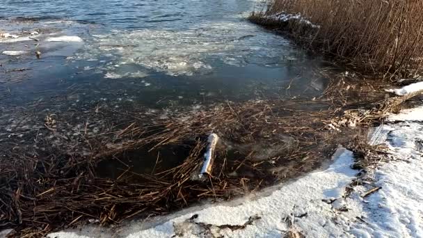 Melting Ice River Ice Drift Ice Floes Float River Early — Videoclip de stoc