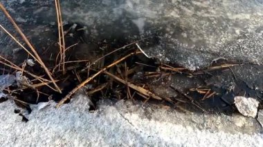 melting ice on the river. ice drift, ice floes float on the river in early spring, the river is opened from ice, snow melts. spring thaw. winter nature. frozen water. 