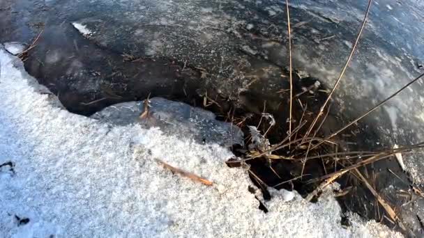 Melting Ice River Ice Drift Ice Floes Float River Early — Videoclip de stoc