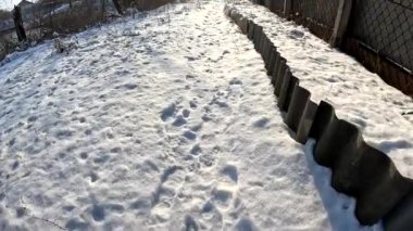 man walks in the snow. path in the snow. animal footprints and paws in the snow. walk in winter. Legs of man walking on snow with footprints on snowy day.