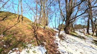 İlkbahar buzu. Ormanda kar erir. Kardaki gölgeler. İlk bahar çimenleri ve kar. Güneş ve orman. Çamların arasından yürü. Uzun çamlar. Ağaç gölgeleri. Yeryüzündeki güneş.