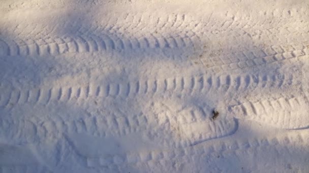 타이어 자국이요 얼음에 얼어붙은 타이어 얼어붙은 타이어 핀란드의 얼어붙은 호수에 — 비디오