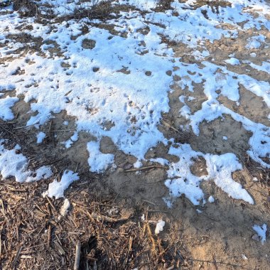 snow on white sand. sand and snow.