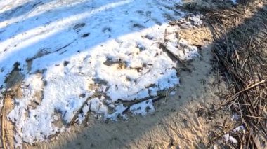 snow on white sand. sand and snow.
