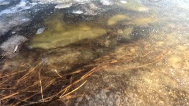clear ice on the river. ice texture. the ice is melting. spring thaw. frozen water. air and water.