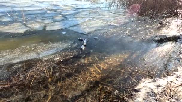 Clear Ice River Ice Texture Ice Melting Spring Thaw Frozen — Video