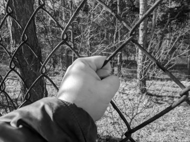 iron grate. steel mesh. the hand is holding the grate. a man's hand holds a steel mesh. conclusion. gate. fence. dream of freedom. jail. A Variety Of Prison Stories And Angles Available.