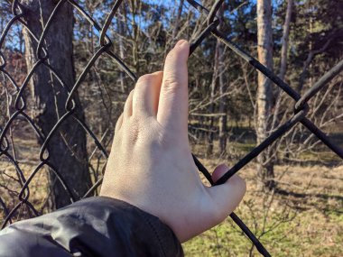 iron grate. steel mesh. the hand is holding the grate. a man's hand holds a steel mesh. conclusion. gate. fence. dream of freedom. jail. A Variety Of Prison Stories And Angles Available.