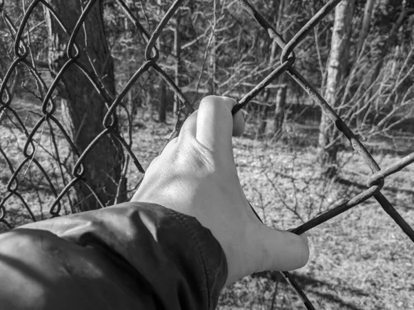 iron grate. steel mesh. the hand is holding the grate. a man's hand holds a steel mesh. conclusion. gate. fence. dream of freedom. jail. A Variety Of Prison Stories And Angles Available.