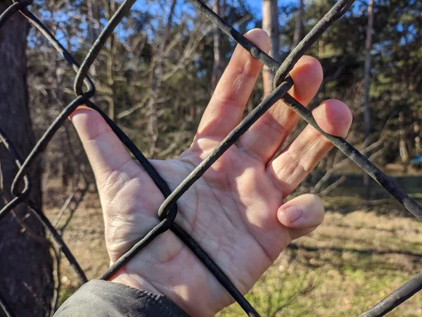 Iron Grate Steel Mesh Hand Holding Grate Man Hand Holds — Foto Stock
