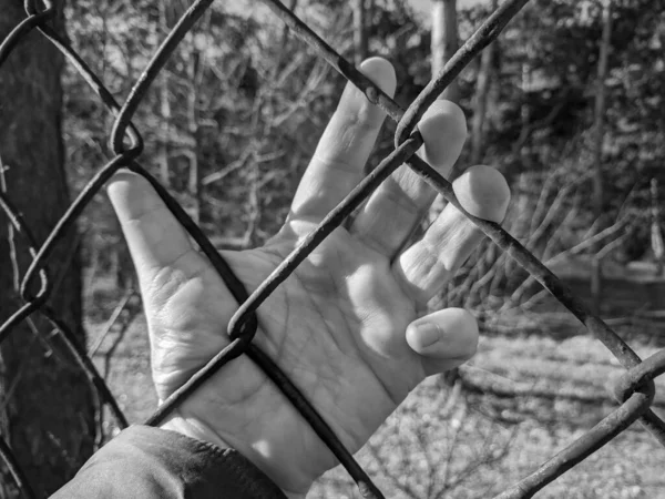 鉄格子だ 鋼のメッシュ 手が格子を握ってる 男の手にはスチールメッシュがある 結論だ ゲートだ フェンスだ 自由の夢 刑務所だ 刑務所の物語と利用可能な角度の多様性 — ストック写真