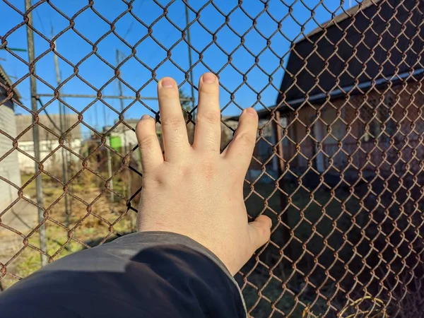 iron grate. steel mesh. the hand is holding the grate. a man\'s hand holds a steel mesh. conclusion. gate. fence. dream of freedom. jail. A Variety Of Prison Stories And Angles Available.