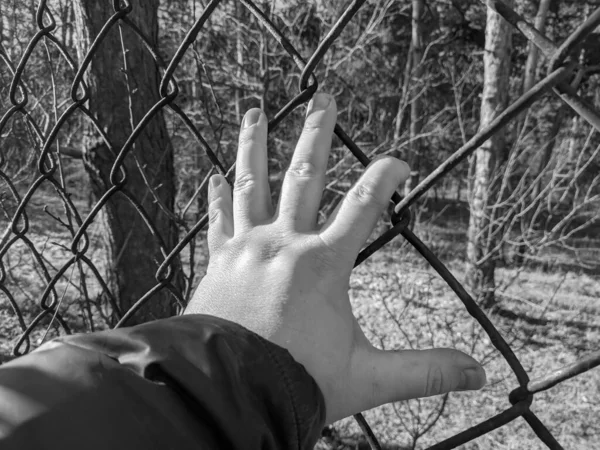铁栅栏 钢丝网 那只手拿着铁栅栏 一个人的手握住一个钢网 梦想自由 监狱故事与角度的多样性 — 图库照片