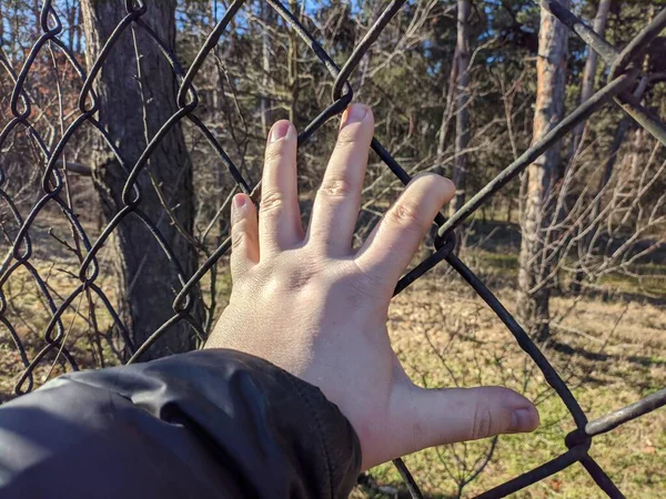 iron grate. steel mesh. the hand is holding the grate. a man's hand holds a steel mesh. conclusion. gate. fence. dream of freedom. jail. A Variety Of Prison Stories And Angles Available.