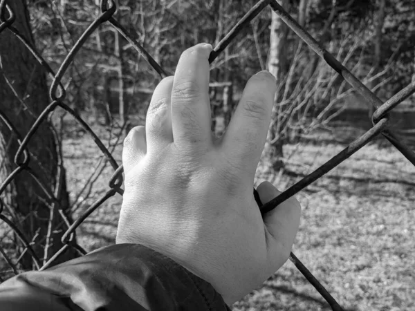 Σιδερένια Σχάρα Χαλύβδινο Πλέγμα Χέρι Κρατάει Σχάρα Χέρι Ενός Άντρα — Φωτογραφία Αρχείου