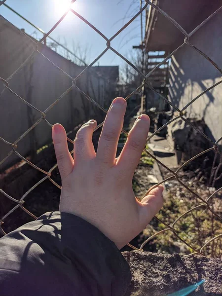 iron grate. steel mesh. the hand is holding the grate. a man\'s hand holds a steel mesh. conclusion. gate. fence. dream of freedom. jail. A Variety Of Prison Stories And Angles Available.