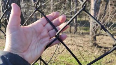 iron grate. steel mesh. the hand is holding the grate. a man's hand holds a steel mesh. conclusion. gate. fence. dream of freedom. jail. A Variety Of Prison Stories And Angles Available.