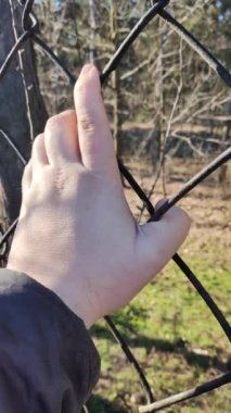 iron grate. steel mesh. the hand is holding the grate. a man's hand holds a steel mesh. conclusion. gate. fence. dream of freedom. jail. A Variety Of Prison Stories And Angles Available.