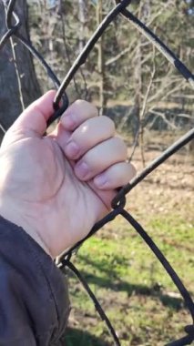iron grate. steel mesh. the hand is holding the grate. a man's hand holds a steel mesh. conclusion. gate. fence. dream of freedom. jail. A Variety Of Prison Stories And Angles Available.